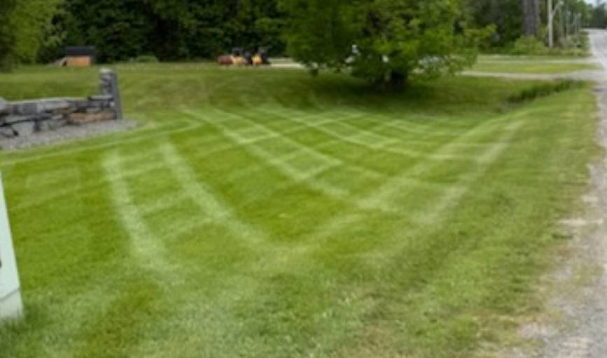 Lawn Mowing